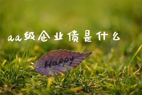 aa级企业债是什么_https://wap.lcjysmgs.com_债券基金_第1张