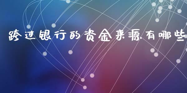 跨过银行的资金来源有哪些_https://wap.lcjysmgs.com_元宇宙_第1张