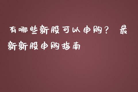 有哪些新股可以申购？ 最新新股申购指南_https://wap.lcjysmgs.com_债券基金_第1张