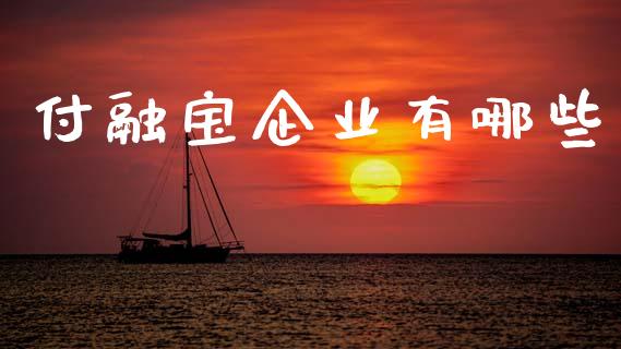 付融宝企业有哪些_https://wap.lcjysmgs.com_原油期货_第1张