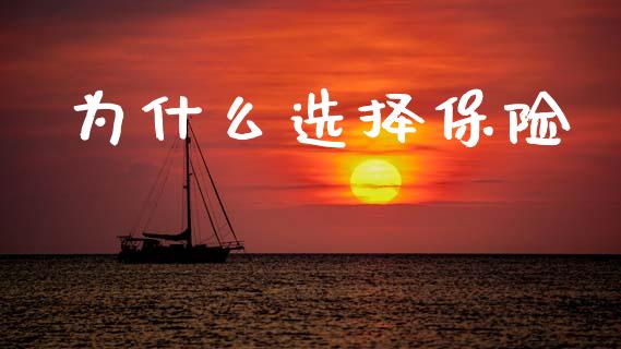 为什么选择保险_https://wap.lcjysmgs.com_原油期货_第1张