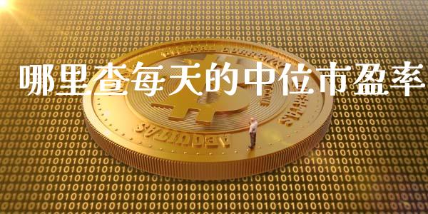 哪里查每天的中位市盈率_https://wap.lcjysmgs.com_元宇宙_第1张