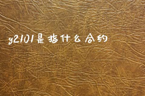 y2101是指什么合约_https://wap.lcjysmgs.com_金融交易_第1张
