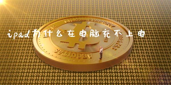 ipad为什么在电脑充不上电_https://wap.lcjysmgs.com_元宇宙_第1张