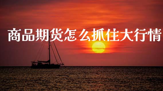 商品期货怎么抓住大行情_https://wap.lcjysmgs.com_金融交易_第1张
