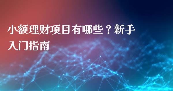 小额理财项目有哪些？新手入门指南_https://wap.lcjysmgs.com_金融交易_第1张