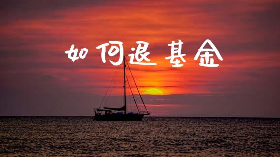 如何退基金_https://wap.lcjysmgs.com_债券基金_第1张