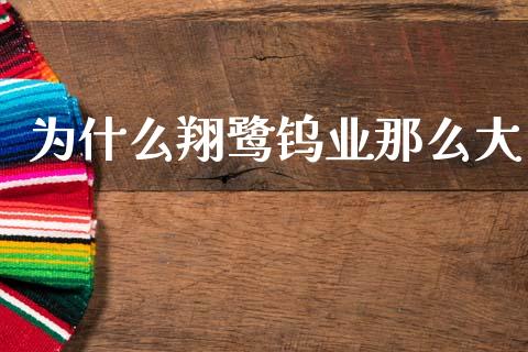 为什么翔鹭钨业那么大_https://wap.lcjysmgs.com_元宇宙_第1张