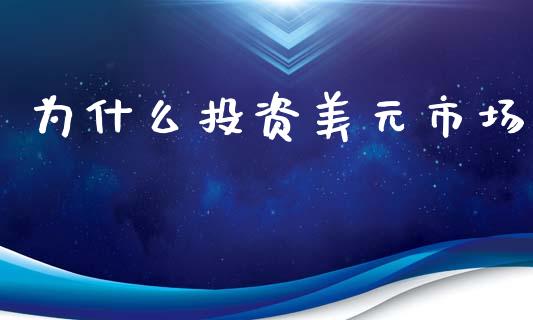 为什么投资美元市场_https://wap.lcjysmgs.com_金融交易_第1张