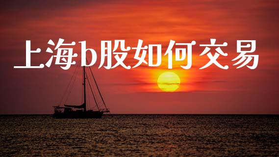 上海b股如何交易_https://wap.lcjysmgs.com_金融交易_第1张