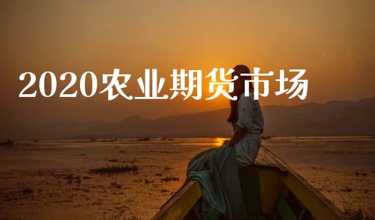 2020农业期货市场_https://wap.lcjysmgs.com_债券基金_第1张