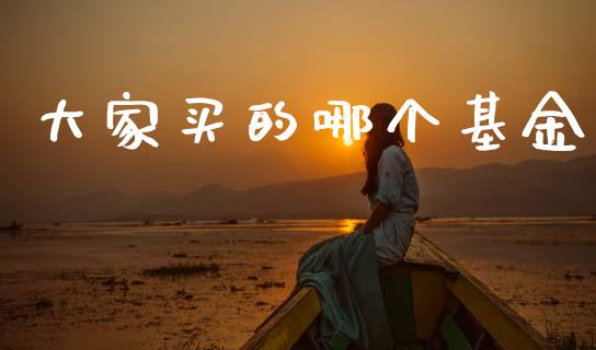 大家买的哪个基金_https://wap.lcjysmgs.com_债券基金_第1张