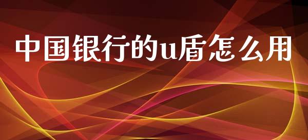 中国银行的u盾怎么用_https://wap.lcjysmgs.com_元宇宙_第1张