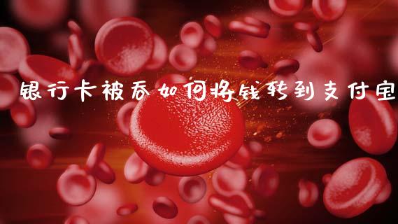 银行卡被吞如何将钱转到支付宝_https://wap.lcjysmgs.com_元宇宙_第1张