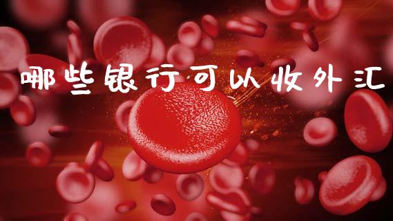 哪些银行可以收外汇_https://wap.lcjysmgs.com_元宇宙_第1张