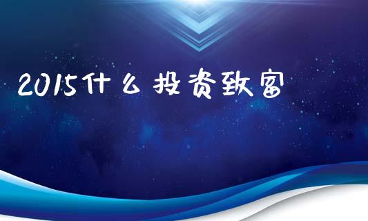 2015什么投资致富_https://wap.lcjysmgs.com_债券基金_第1张