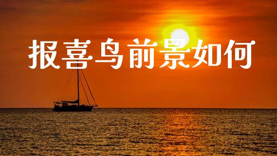 报喜鸟前景如何_https://wap.lcjysmgs.com_元宇宙_第1张