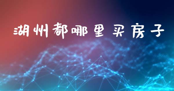 湖州都哪里买房子_https://wap.lcjysmgs.com_原油期货_第1张