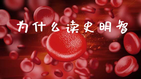 为什么读史明智_https://wap.lcjysmgs.com_债券基金_第1张