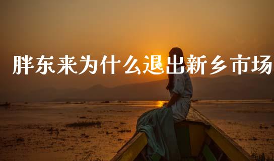 胖东来为什么退出新乡市场_https://wap.lcjysmgs.com_金融交易_第1张