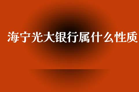 海宁光大银行属什么性质_https://wap.lcjysmgs.com_元宇宙_第1张