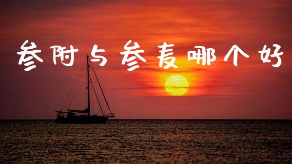 参附与参麦哪个好_https://wap.lcjysmgs.com_元宇宙_第1张