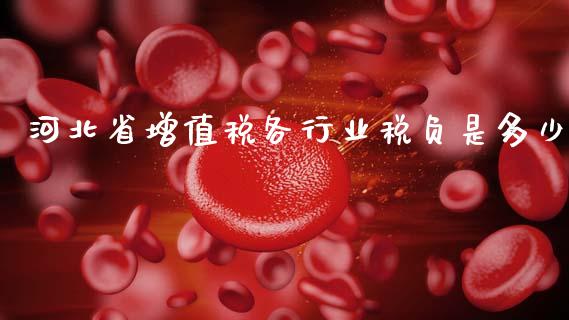 河北省增值税各行业税负是多少_https://wap.lcjysmgs.com_债券基金_第1张