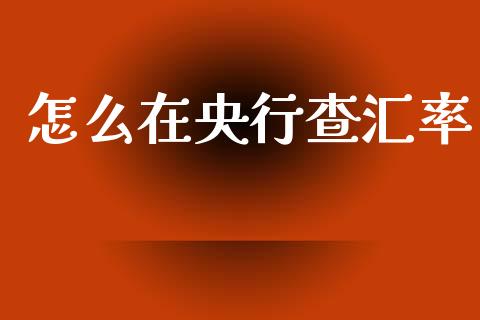 怎么在央行查汇率_https://wap.lcjysmgs.com_债券基金_第1张