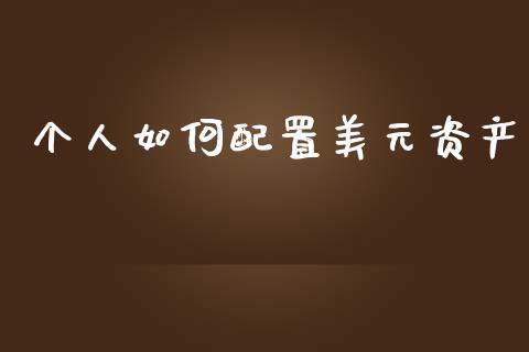 个人如何配置美元资产_https://wap.lcjysmgs.com_金融交易_第1张
