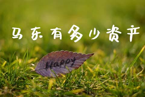 马东有多少资产_https://wap.lcjysmgs.com_金融交易_第1张