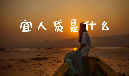 宜人贷是什么_https://wap.lcjysmgs.com_债券基金_第1张