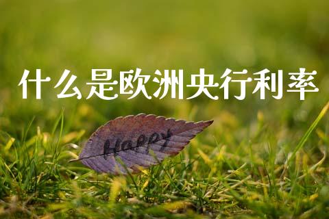 什么是欧洲央行利率_https://wap.lcjysmgs.com_元宇宙_第1张