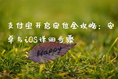 支付宝开启定位全攻略：安卓与iOS详细步骤_https://wap.lcjysmgs.com_债券基金_第1张