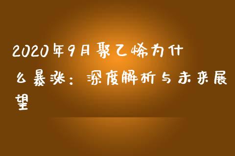 2020年9月聚乙烯为什么暴涨：深度解析与未来展望_https://wap.lcjysmgs.com_金融交易_第1张