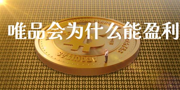 唯品会为什么能盈利_https://wap.lcjysmgs.com_元宇宙_第1张