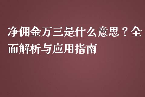 净佣金万三是什么意思？全面解析与应用指南_https://wap.lcjysmgs.com_债券基金_第1张