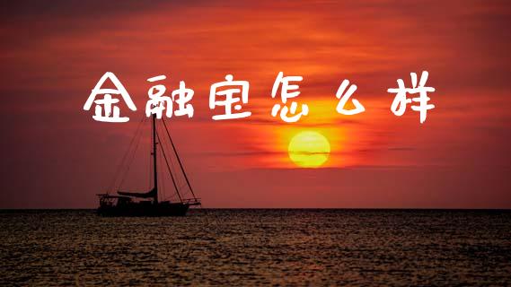 金融宝怎么样_https://wap.lcjysmgs.com_金融交易_第1张