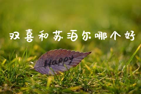 双喜和苏泊尔哪个好_https://wap.lcjysmgs.com_元宇宙_第1张