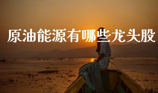 原油能源有哪些龙头股_https://wap.lcjysmgs.com_原油期货_第1张