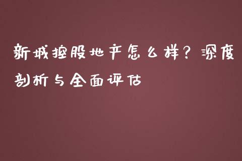新城控股地产怎么样？深度剖析与全面评估_https://wap.lcjysmgs.com_金融交易_第1张