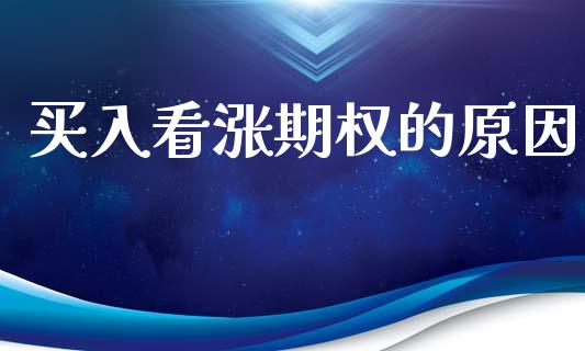 买入看涨期权的原因_https://wap.lcjysmgs.com_原油期货_第1张