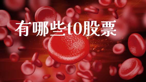 有哪些t0股票_https://wap.lcjysmgs.com_债券基金_第1张