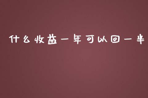 什么收益一年可以回一半_https://wap.lcjysmgs.com_元宇宙_第1张