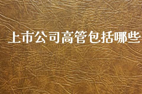 上市公司高管包括哪些_https://wap.lcjysmgs.com_元宇宙_第1张