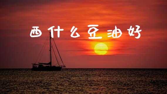 西什么豆油好_https://wap.lcjysmgs.com_金融交易_第1张