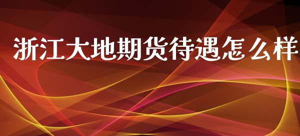 浙江大地期货待遇怎么样_https://wap.lcjysmgs.com_元宇宙_第1张