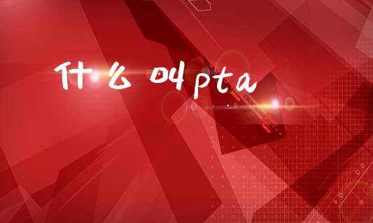什么叫pta_https://wap.lcjysmgs.com_元宇宙_第1张