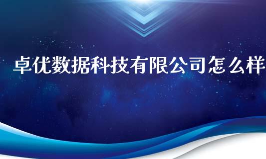 卓优数据科技有限公司怎么样_https://wap.lcjysmgs.com_元宇宙_第1张