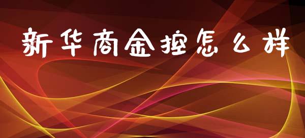 新华商金控怎么样_https://wap.lcjysmgs.com_债券基金_第1张