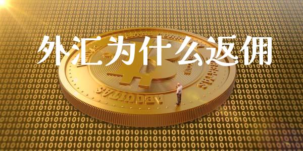 外汇为什么返佣_https://wap.lcjysmgs.com_金融交易_第1张